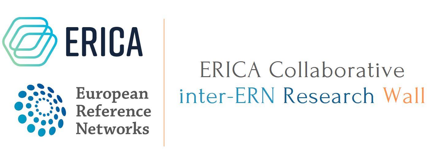 ERICA : Collaborative inter-ERN research wall