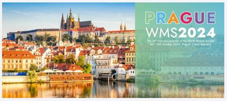 wms 2024 prague-2