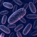 Mitochondrial-medicine-2020-600x600-300x300