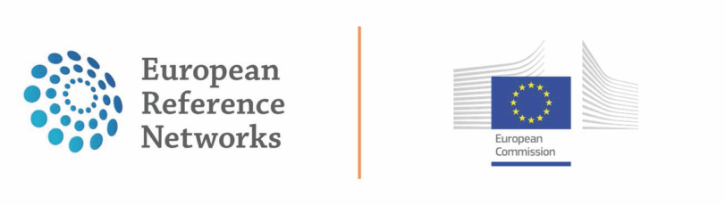 evaluation erns dec 22 visual.pdf