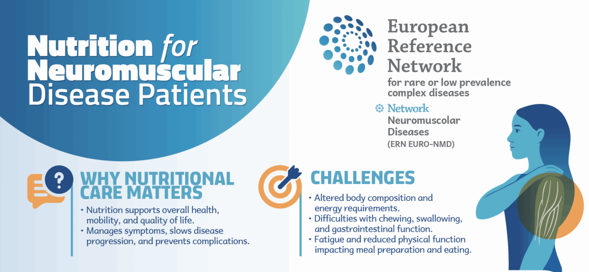 Visual for the website