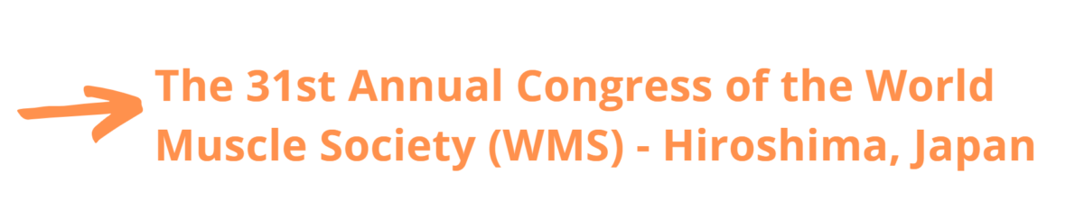 wms-japan_visu26